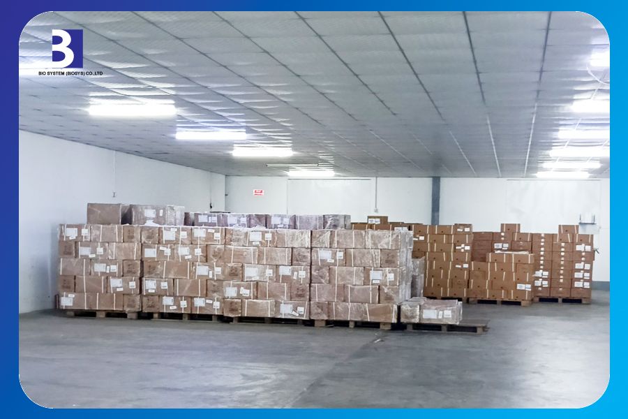 Storage Management